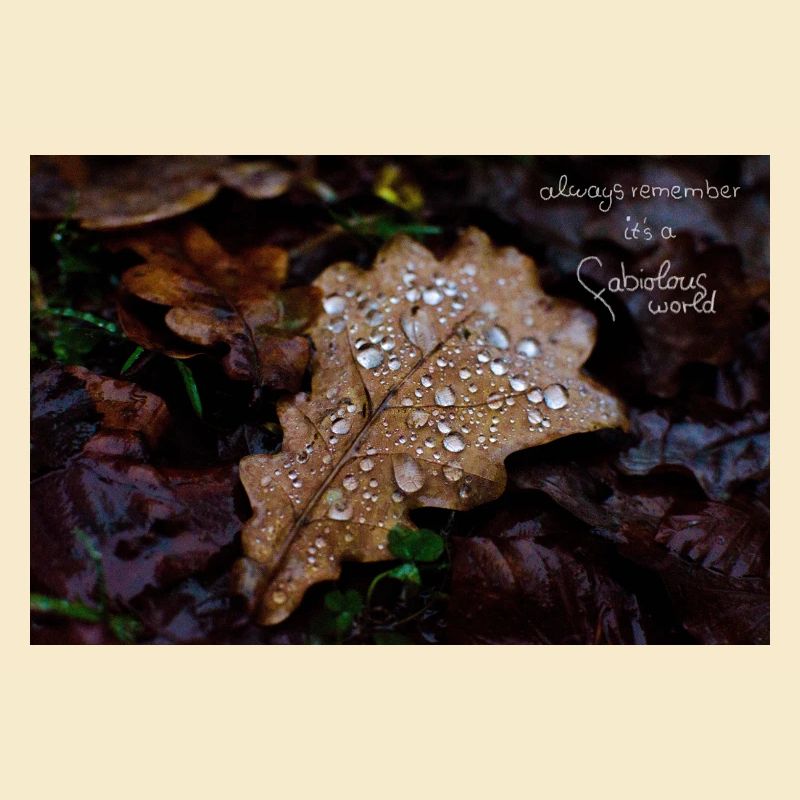 fabiolous world Herbstblatt