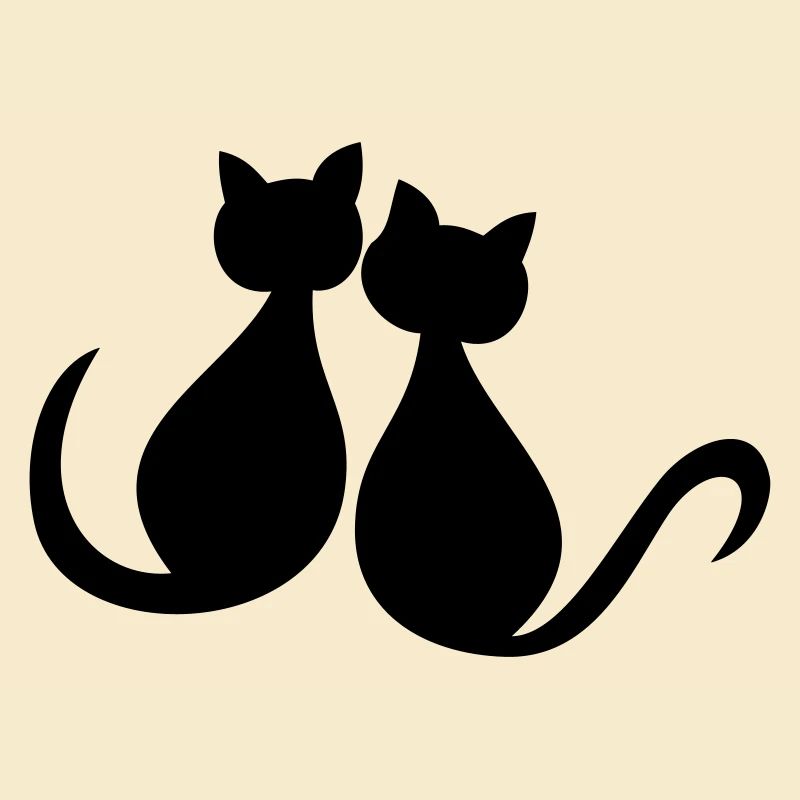 Les chats adorent la Saint-Valentin