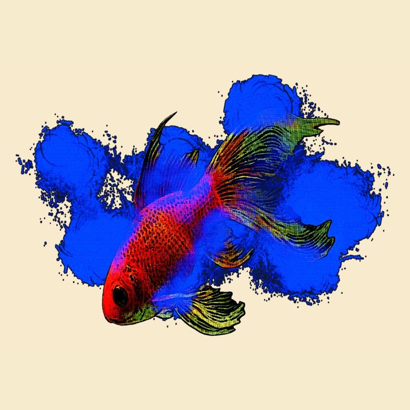 wassertiere, schleierschwanz Goldfisch