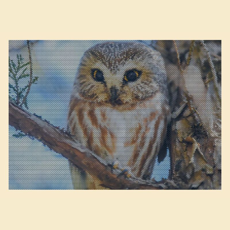 Abendwald Eulenblick