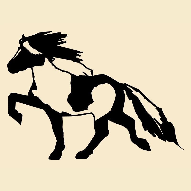 Islandpferd Schecke 7, Pinto reiten Isländer