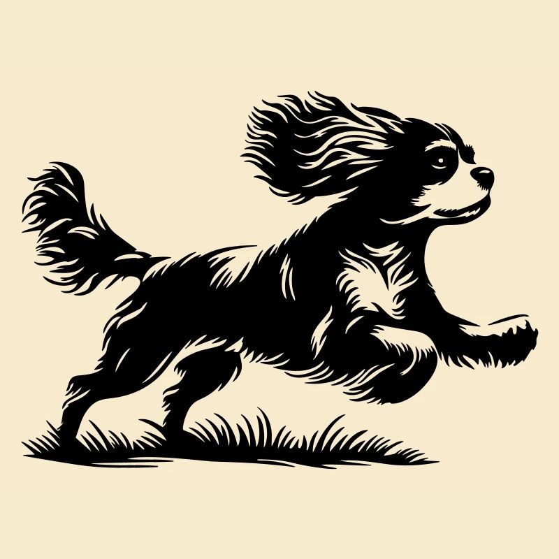 Cavalier King Charles Spaniel