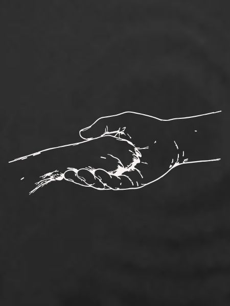hand-pfote_1-