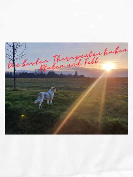PfotenTherapie am Abendsonne