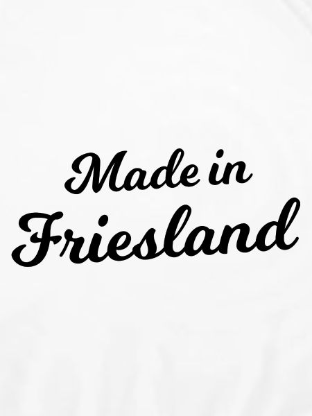 Die Friesen kommen