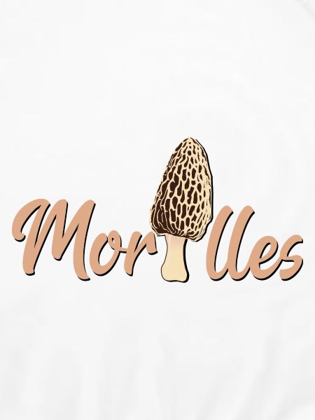 Morcheln
