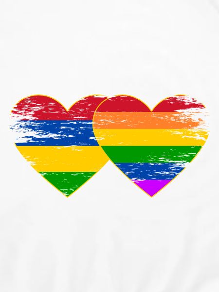 Mauritius Regenbogen Flagge Herz used
