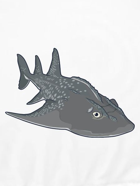 Bowmouth-Gitarrenrochen Cartoon-Stil