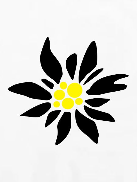 Edelweiss