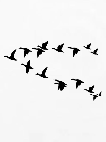 Vogelschwarm flock of birds