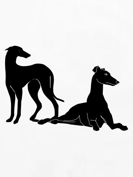 Gruppe Galgos