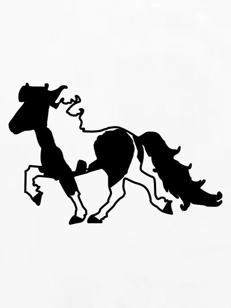Islandpferd Schecke verspielt 