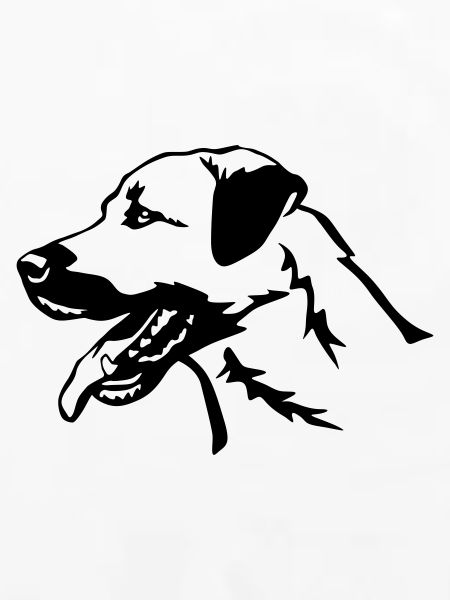 Kangal head