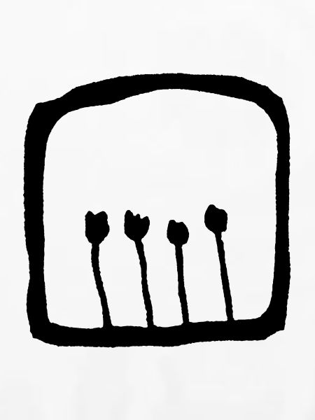 Vier Tulpen