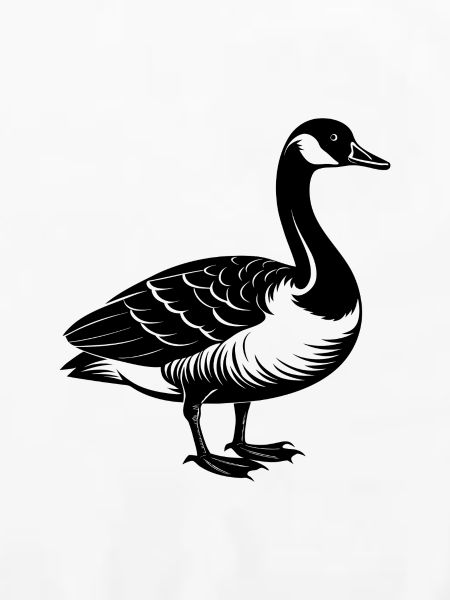 Kanadische Gans