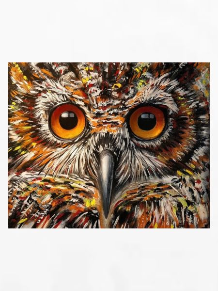 Wise Owl