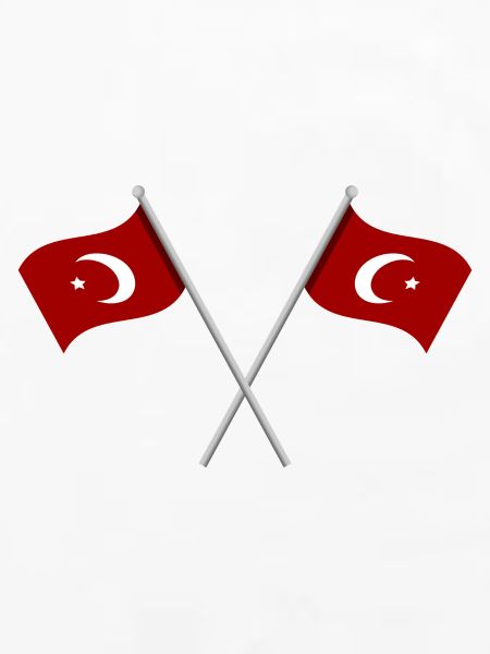 Türkische Flagge