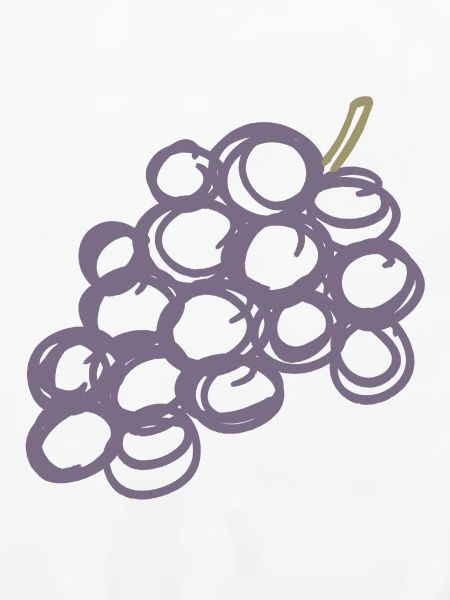 Lavendeltrauben-Cluster-Illustration