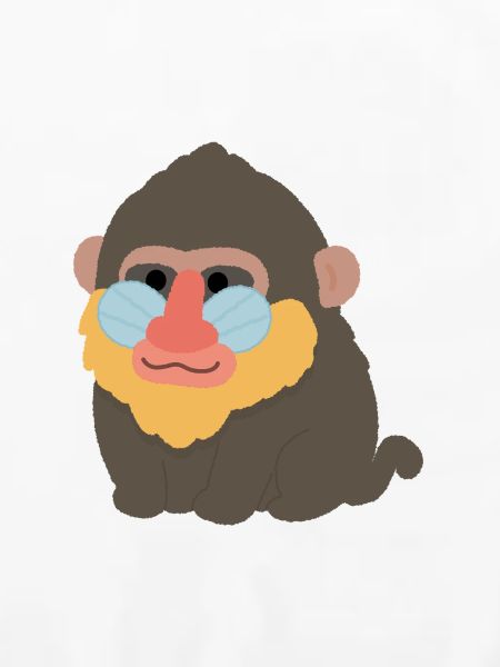Mandrill