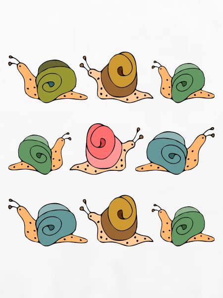 Schnecken