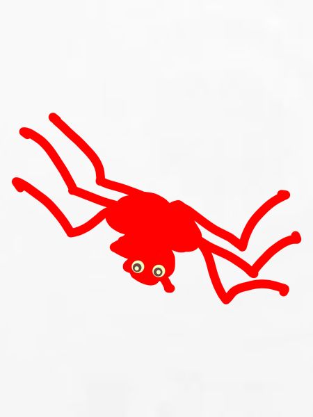Spinne