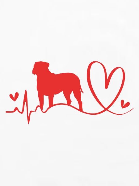 Bullmastiff Hund