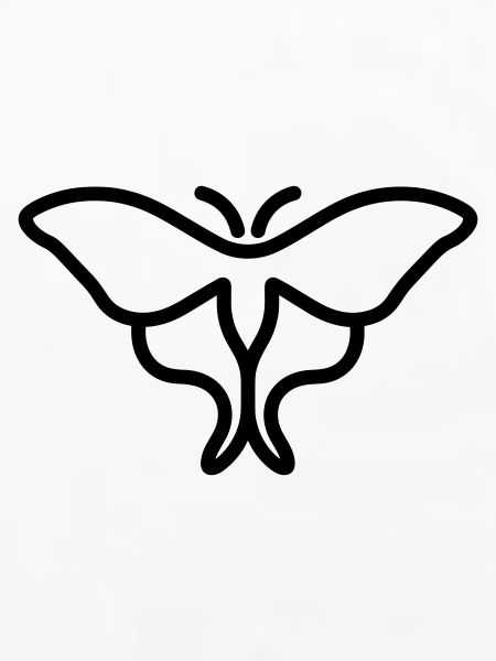 Moon Butterfly