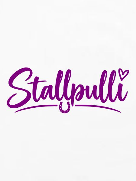 Stallpulli - Pferd - Reiterin - Stall - Pullover