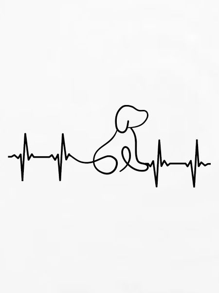 Hund EKG Herzschlag