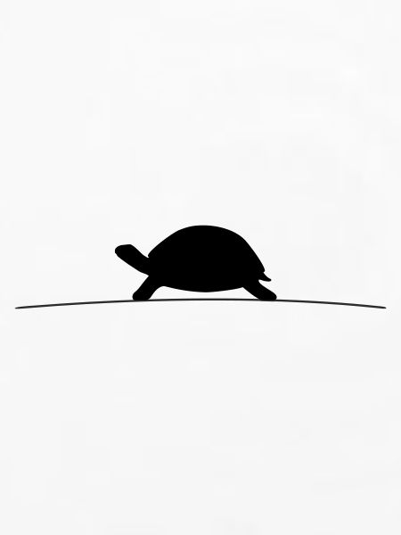 Turtle Silhouette