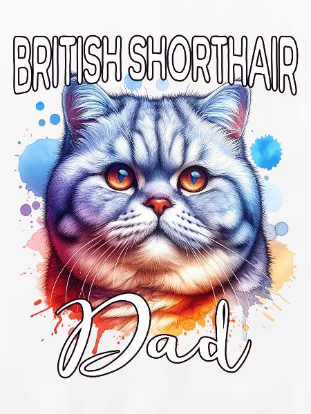 Britisch Kurzhaar Katze Papa
