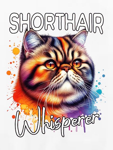 Exotische Kurzhaarkatze Flüsterer