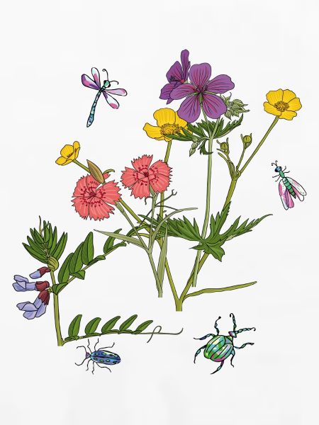 Blumenwiese