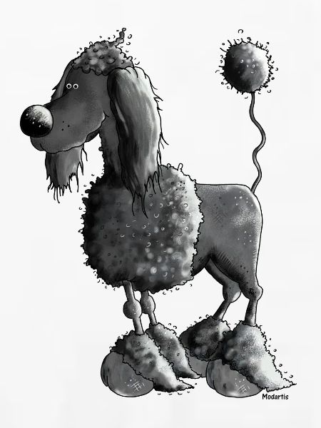 Dufter Pudel - Hund