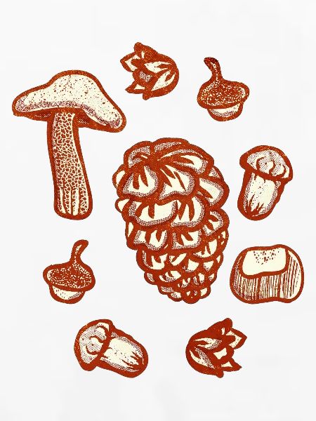 Rustikale Herbstschmuck-Illustration