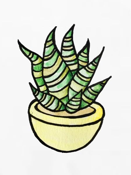 Sukkulenten-Aquarelltopf