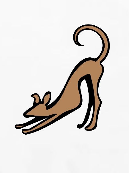 Katzenstrecken-Silhouette