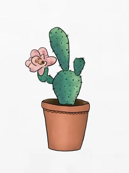 Kaktusblüte