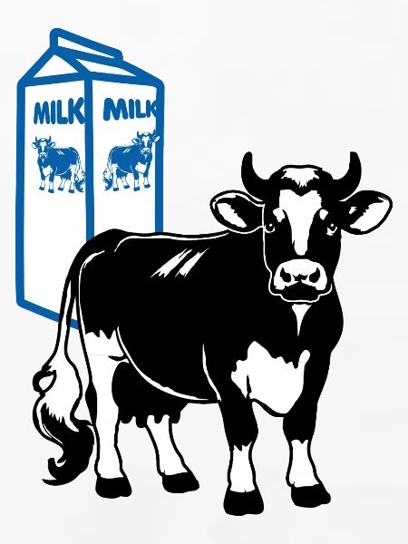 Milchkuh mit Milchkarton Hintergrund