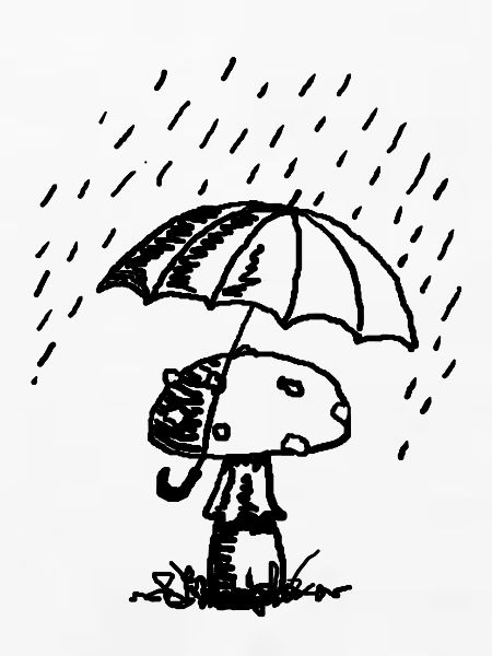 Pilze im Regen
