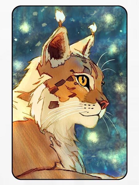 Luchs im Profil