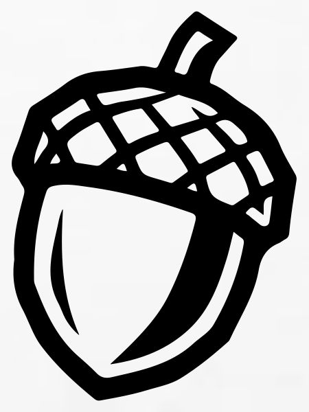 Eichel Symbol