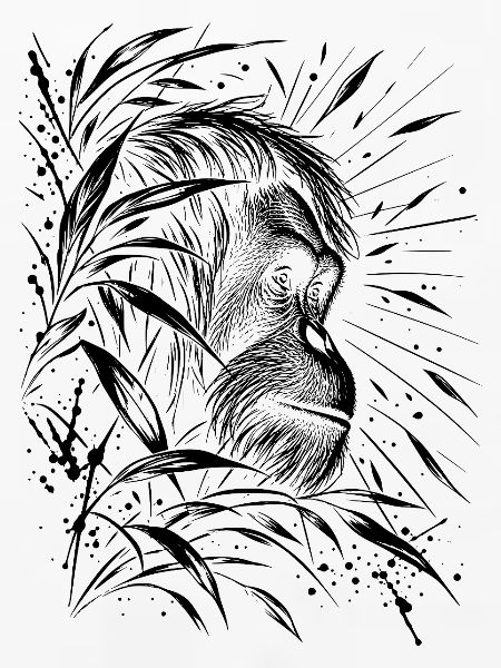 Orang Utan