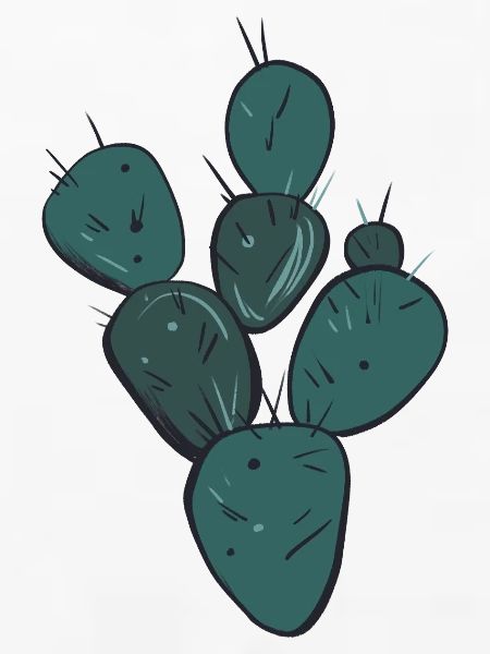 Teal-Kaktus-Cluster