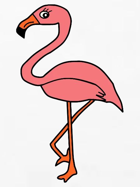 Flamingos Bird Bird Animals Gift