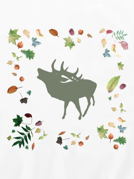 Hirsch mit Herbstlaub