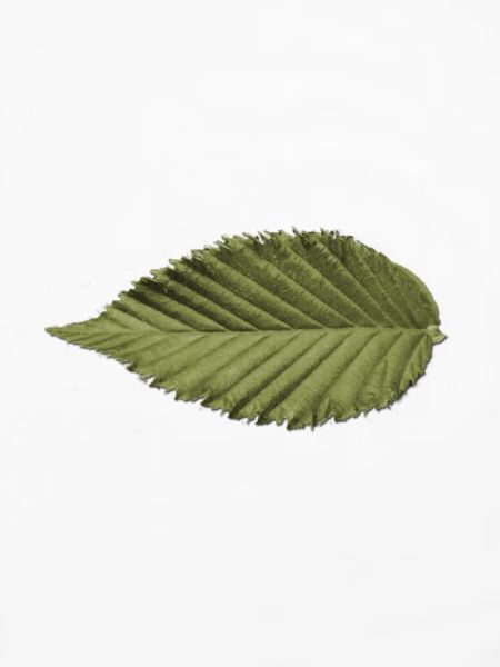 Leaf Structure Olive Green Pattern