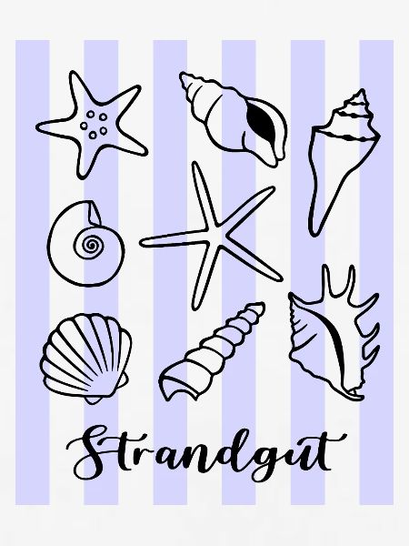 Strandgut Muscheln und Seesterne