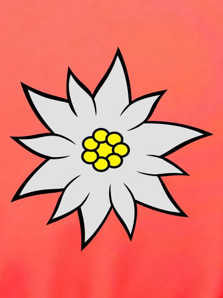 Edelweiss