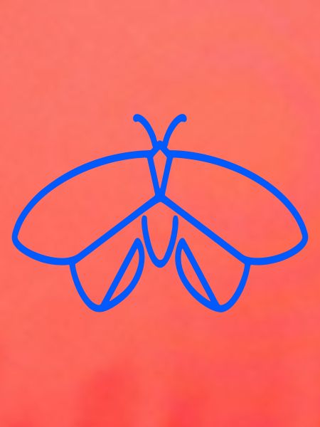 Neonfalter